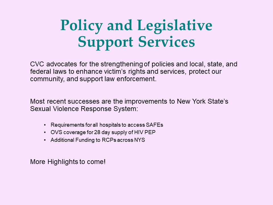 Policy And Legislation Support Services